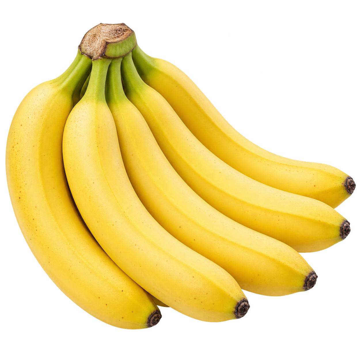 Indian Fresh Banana - Pranavi TradeX