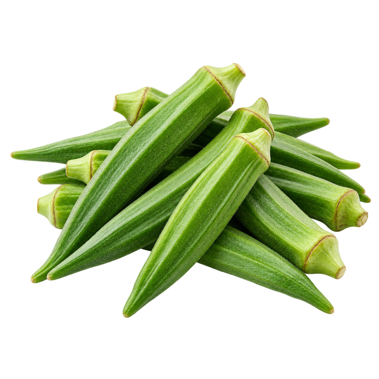 Indian Fresh Okra Lady Finger - Pranavi TradeX