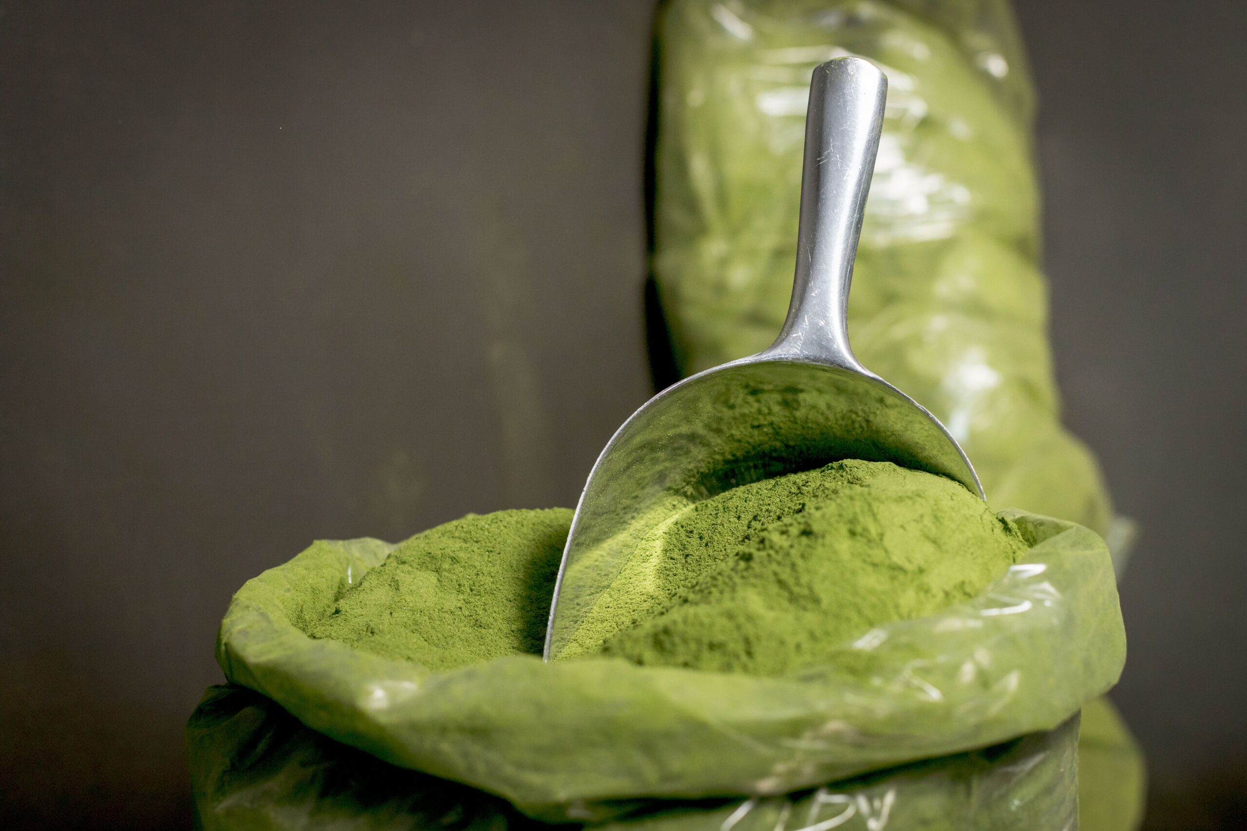 Moringa leaves and moringa leaf powder supplied by Pranavi TradeX